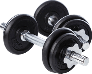 altères de musculation