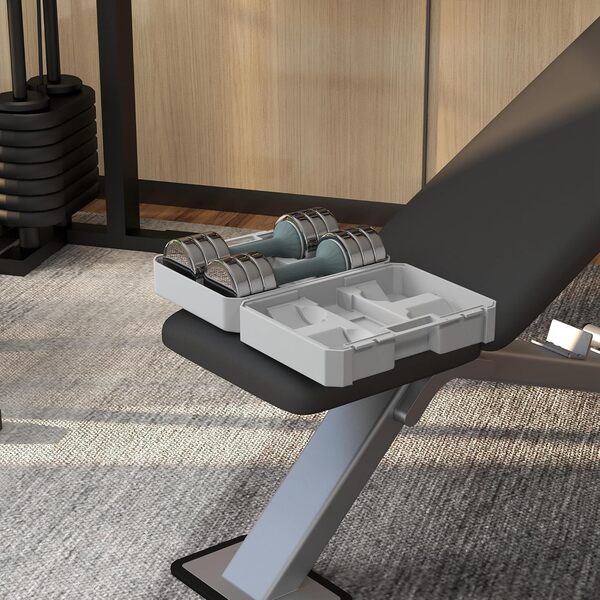 SPORTNOW Set de 2 haltères ensemble musculation 4 disques poids réglables en acier galvanisé et boîte de rangement - gym fitness - 2 x 10 kg gris