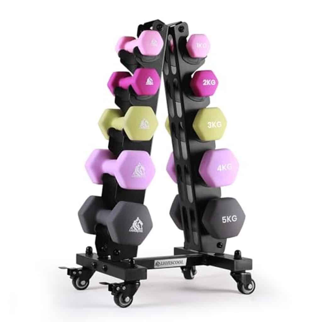 Test : lIONSCOOL haltères néoprène avec support