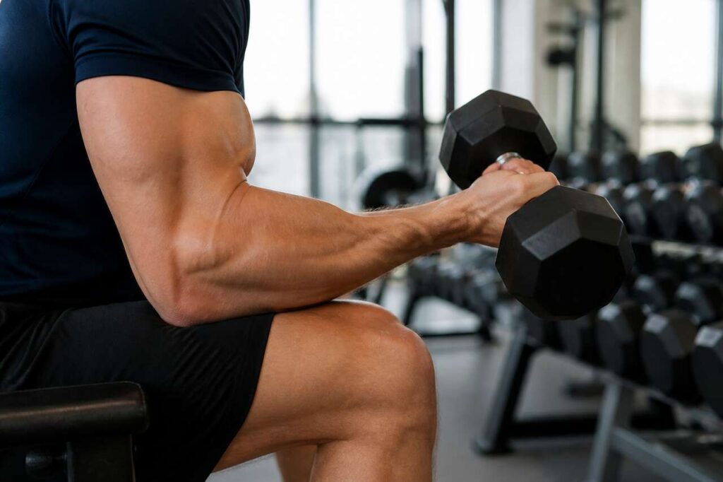 Guide complet : comment gagner du volume musculaire dans les bras ?